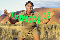 irwint13.jpg